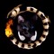 Cat Support