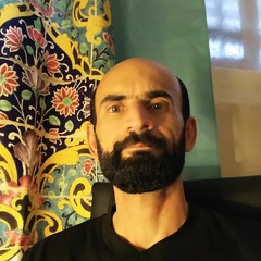 Saman Amini 3