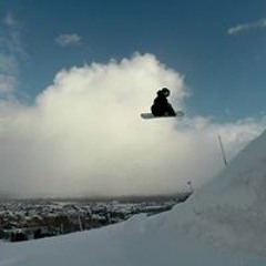 Tyler Green