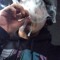 NZBLD