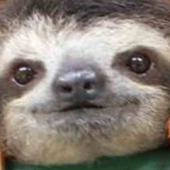 Mason Matthew Rooney