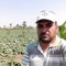 Talat Nady