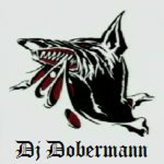 Hardcore Millenium - Dobermann (Live vinyl mix)