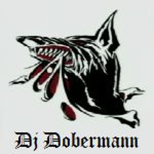 Hardcore Millenium - Dobermann (Live vinyl mix)