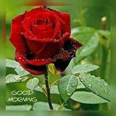 Rahul Gujar