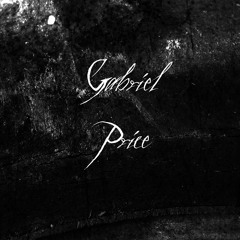 Gabriel Price