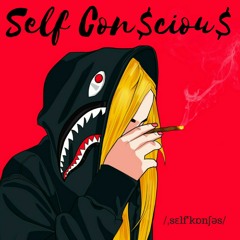 Self Con$ciou$