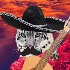 Invitado Fantasma