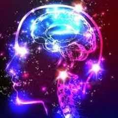 FuzzyBrain