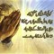 Haider Abbas