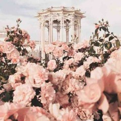 WhiteChocolateRoses