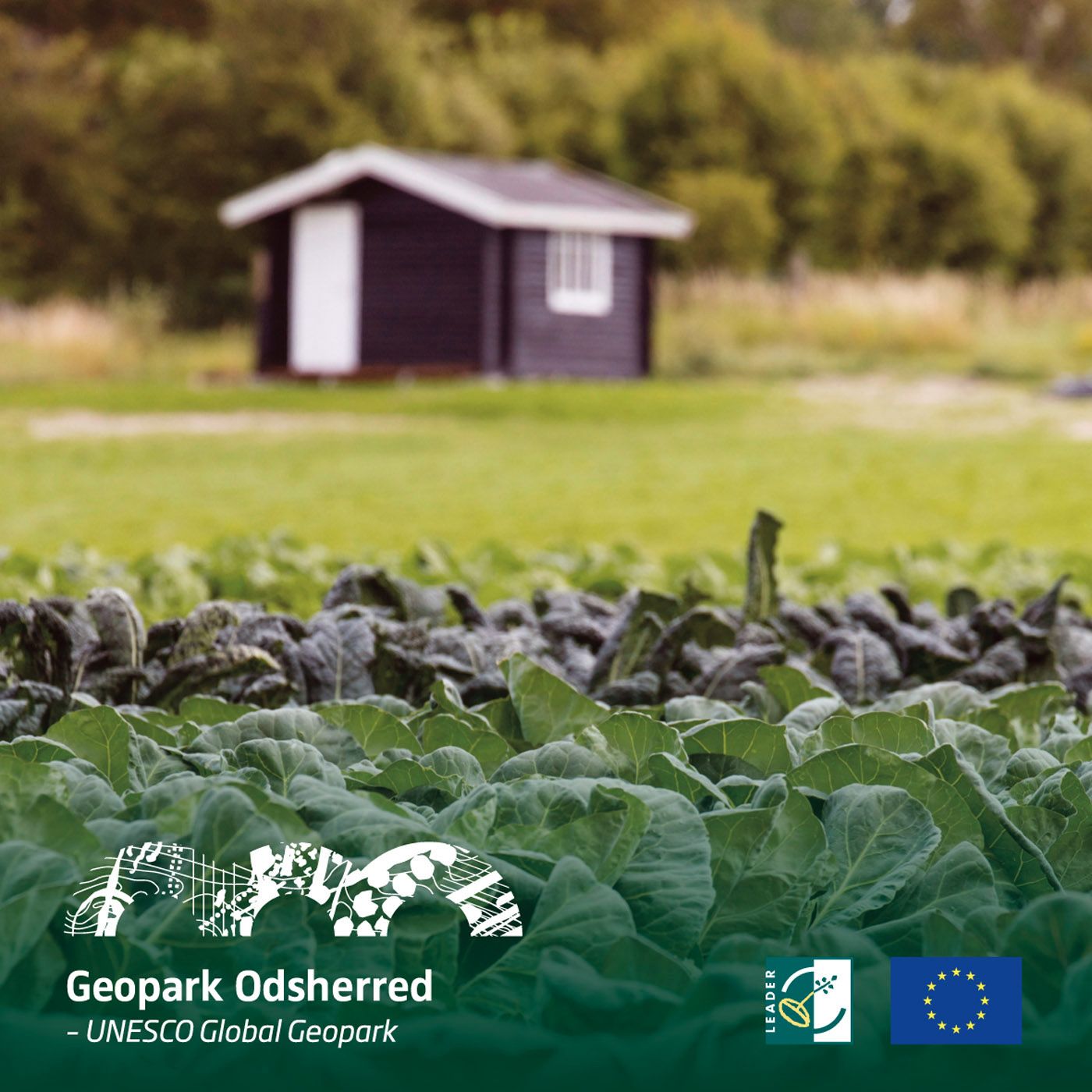 Lammefjordens historier af Lammefjordens historier