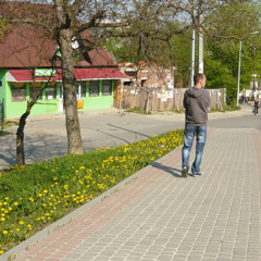 коля васечкин