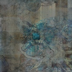 .:ｍｏｎｓｔｅｒａ ｄｅｌｉｃｉｏｓａ:.