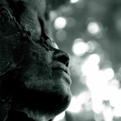 Visions of Abraxas (Coop)