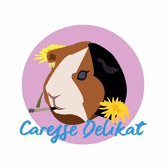Caresse Delikat