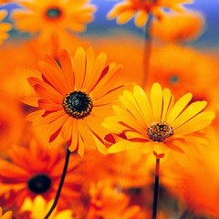 NOEMI tORRES GONZALEZ