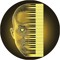 Electronic Musicians