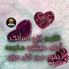 ام مهند