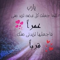 سيد عبدالله