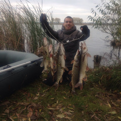 Віталій Борисевич