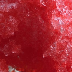 Laine Elizabeth Raish