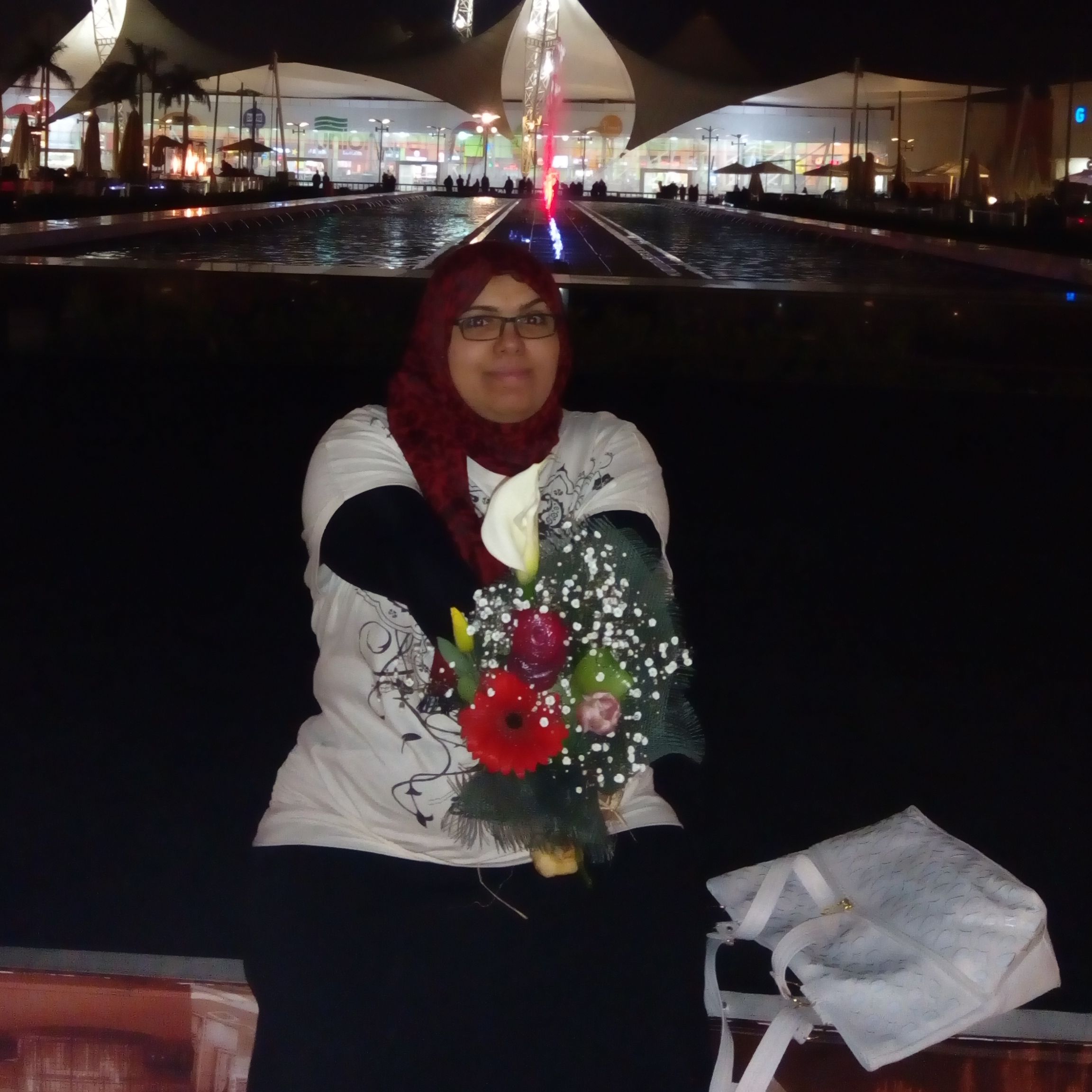 Aisha Aly