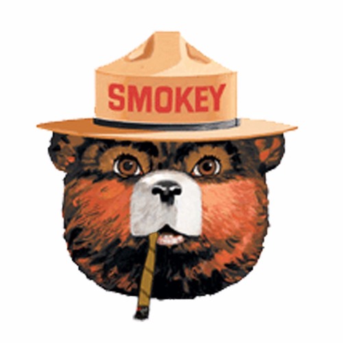 SmokeyTheBoy’s avatar