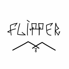 Del`fin Flipper