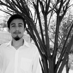 Taufiq Ali Abbas