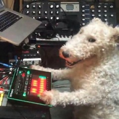 DOGSCHOOL
