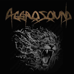 AggroSounD PY