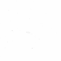 Designer Music Group