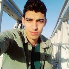 Sayed Abdelhamid