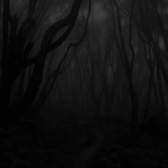 Sebastian Evers/Severe