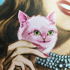 kittyflip