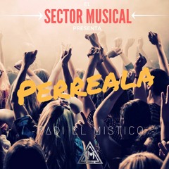 Sector Musical INC