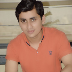 Zeeshan Ali Bilal