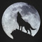 OtakuWolf Gamer