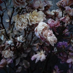 Rot Garden