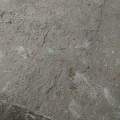 TONI Q-pesta Pantai