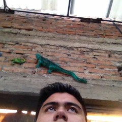 DavidChaor