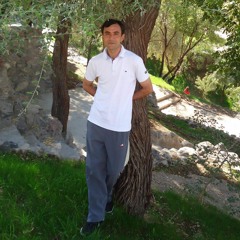 Majid Gharaiy