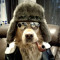 Sergey Kiba