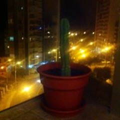 Taty Urrutia Castillo