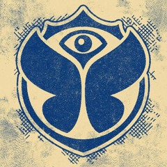 Tomorrowland belgium 2017