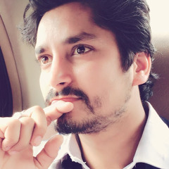 SANY SHAH