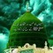 Syed Zeeshan Haider