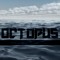 Octopus_YT