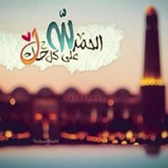 Abd-Elhakim Mahmoud